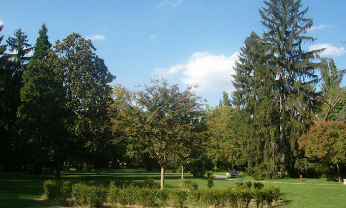 Der Park von Massari und der Park von Pareschi