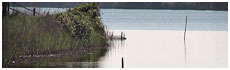 Lago delle Nazioni(Fe)