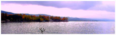 Lago di Bolsena(Vt)