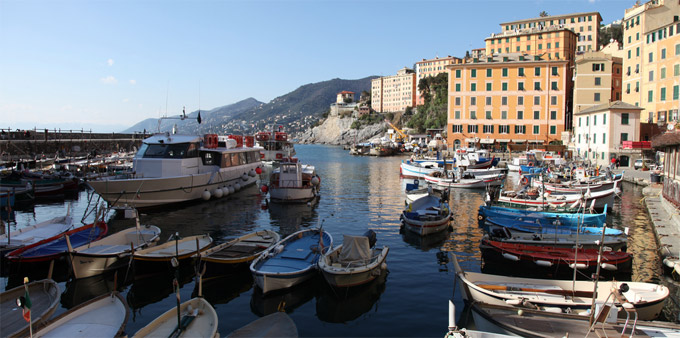 Die Marina von Camogli