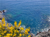 Cinque Terre(Sp) - O Mar de Cinque Terre