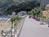 Moneglia(Ge) - Il Viale delle Palme (Die Promenade des Palms)