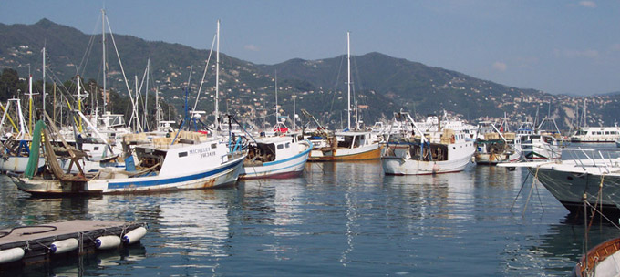 Marina of Santa Margherita