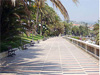 San Remo(Im) - La Promenade de Sanremo