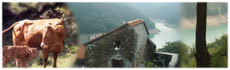 Val Trebbia(Ge)