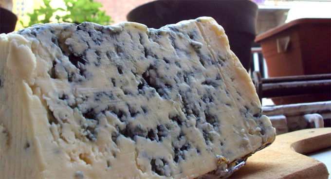 Gorgonzola