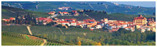 Barolo(Cn)