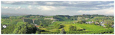 Colline del Nizza(At)