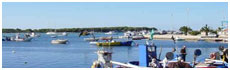 Campomarino(Ta)