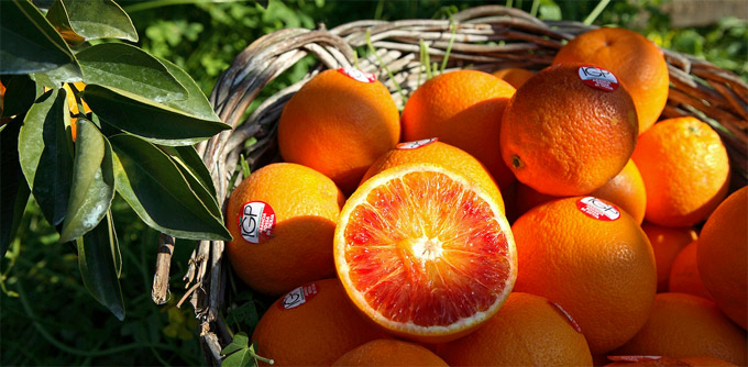 Blood oranges