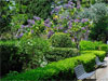 Taormina(Me) - Public Garden des kommunalen Villa