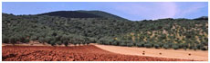 Montes de Maremma(Gr)