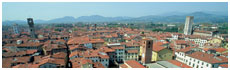 Lucca(Lu)