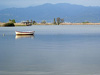 Torre del Lago(Lu) - Le Lac