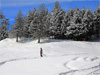 Alpe di Siusi(Bz) - L'Altipiano dello Sciliar