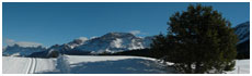 Passo di Lavazè(Tn)