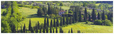 Orvieto Area(Tr)