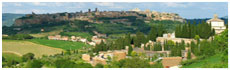 Orvieto(Tr)