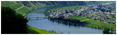 Tal der Mosel