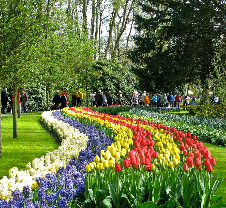 Amsterdam Keukenhof (Netherland) - park Amsterdam - parks ...