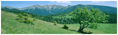 Tatra