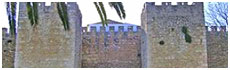 Castillo de Lagos