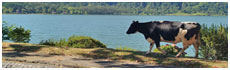 Lagoa das Furnas