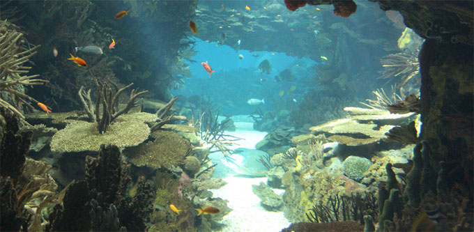 Oceanário