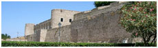 Castello di Abrantes