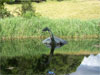 Loch Ness - Loch Ness
