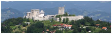 Castillo de Celje