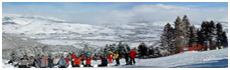 Masella