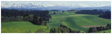 Emmentaler Tal