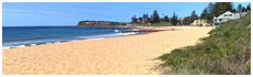 Collaroy