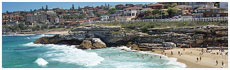 Tamarama