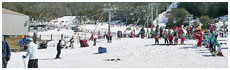 Thredbo