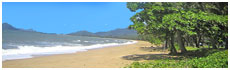 Palm Cove