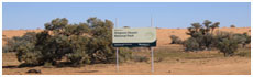 Simpson Desert