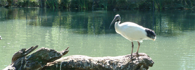 Parque de Conservación Cleland