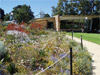 Perth - Kings Park & Botanic Garden