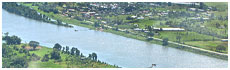 Rewa