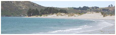 Aramoana