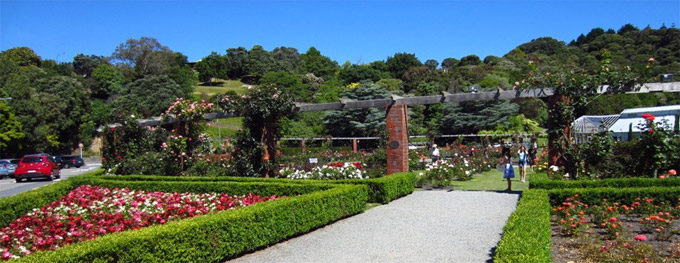 Jardín Botánico