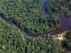 Manaus - Forêt amazonienne