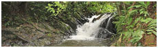 Serra do Itajaí