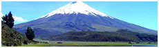 Cotopaxi