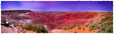 Petrified Forest