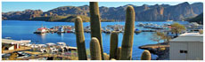 Lago Saguaro