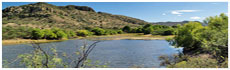 Lago Arivaca