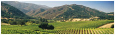 Carmel Valley